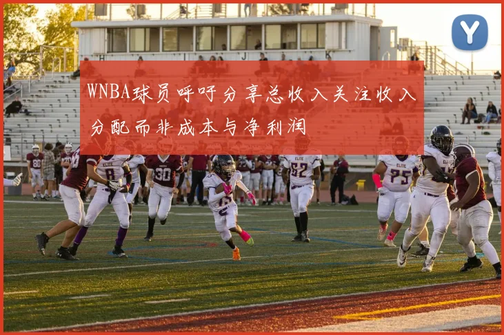 WNBA球员呼吁分享总收入关注收入分配而非成本与净利润