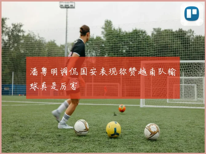 潘粤明调侃国安表现称赞越南队输球真是厉害