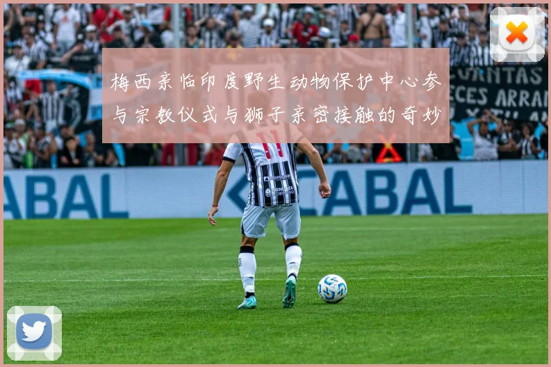 梅西亲临印度野生动物保护中心参与宗教仪式与狮子亲密接触的奇妙体验