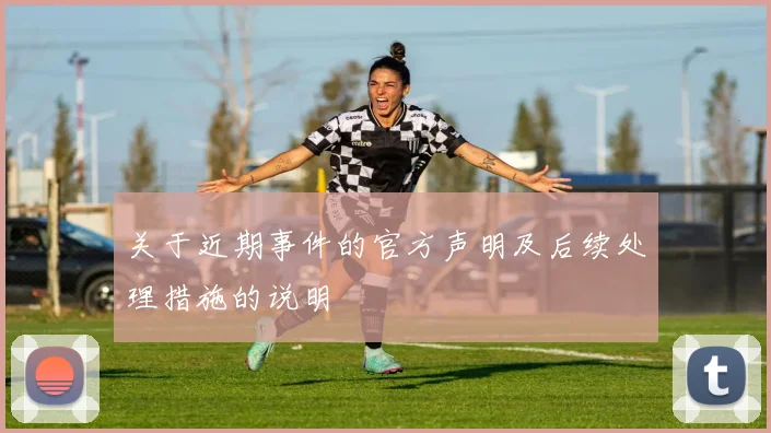 关于近期事件的官方声明及后续处理措施的说明