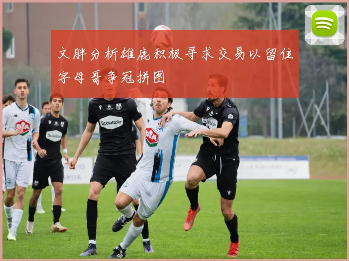 文胖分析雄鹿积极寻求交易以留住字母哥争冠拼图